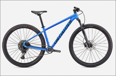 specialized expert29